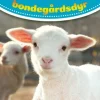 Aktivitetsbog - Sode Bondegardsdyr
