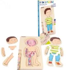 Anatomisk Puslespil - Lille Dreng