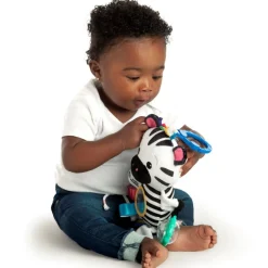 Baby Einstein - Aktivitets-Zebra