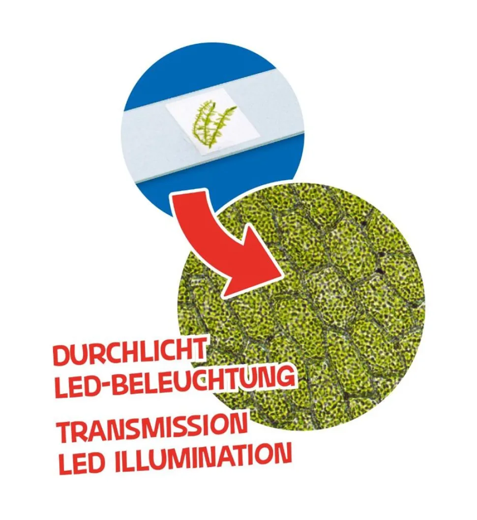 Børne Mikroskop M. Led, 40X-640X - Inkl Tilbehør