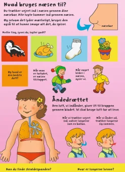 Den Store Flapbog: Kroppen