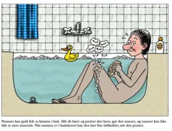 Den Store Numsebog