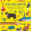 Dyr Med Udstyr