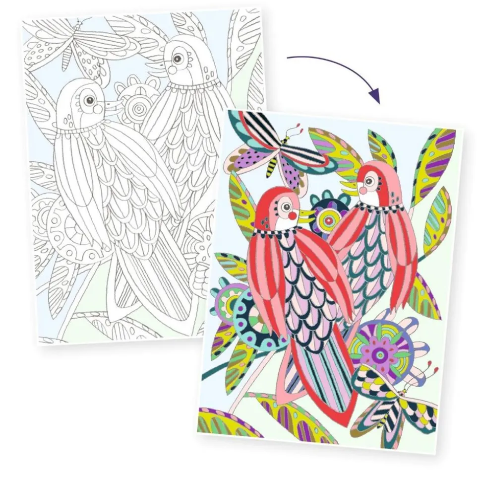 Farvelaegningsplakater - Fugle, 3 Stk