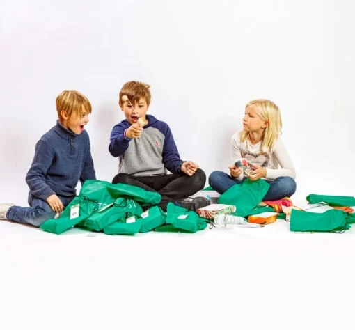 Forskerfabrikkens Julekalender - 12 Dage