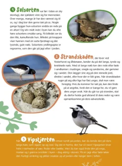 Fugle I Vores Natur
