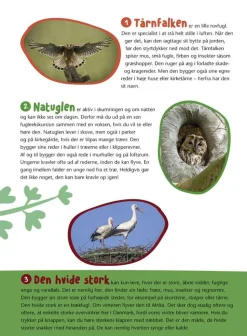 Fugle I Vores Natur