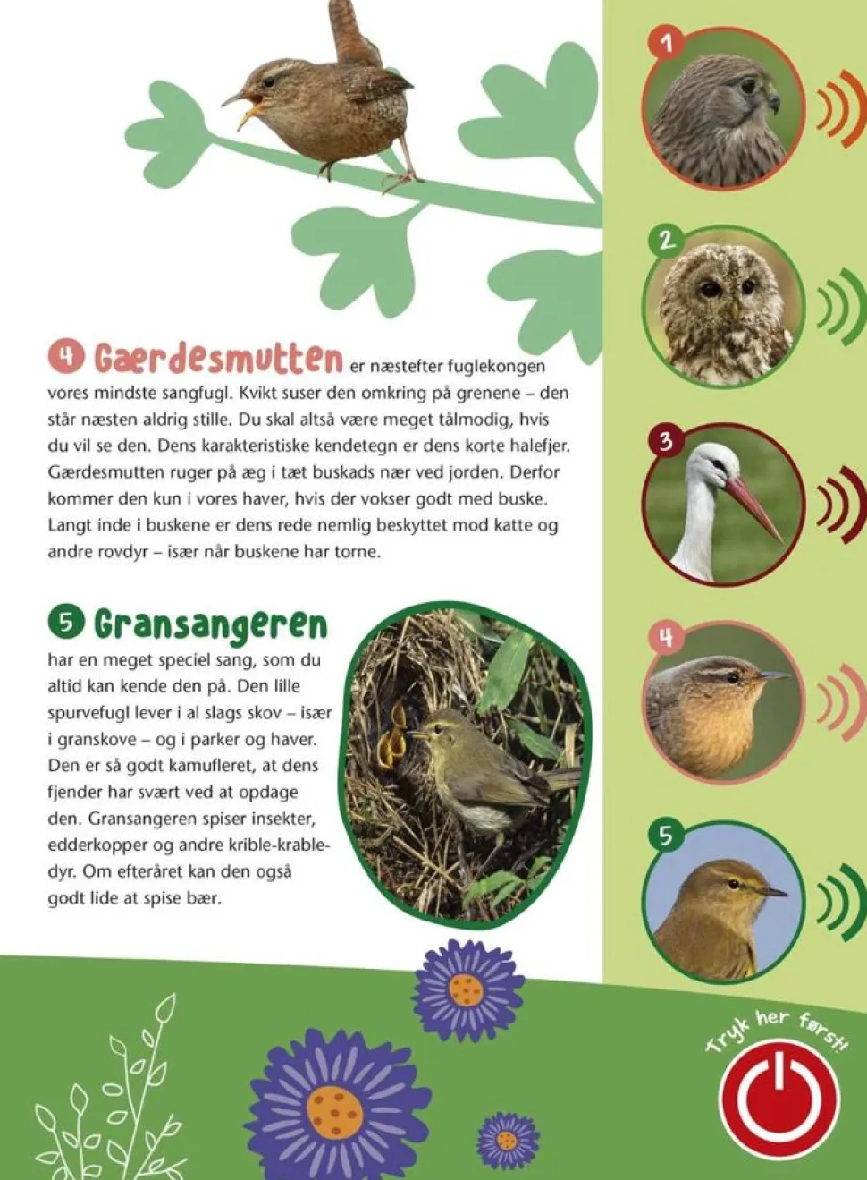 Fugle I Vores Natur