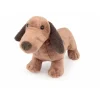 Hunden Edward