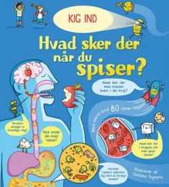 Hvad Sker Der, Nar Du Spiser?