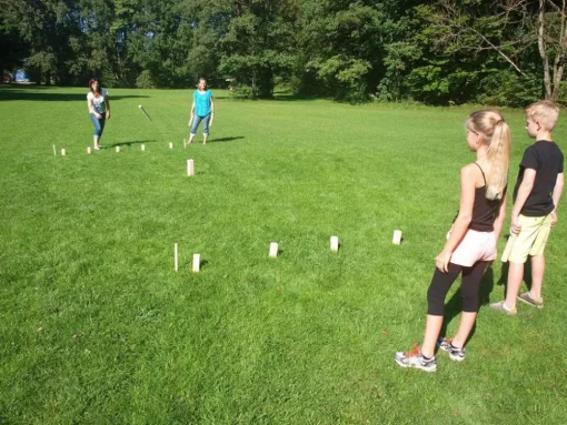 Kongespil / Kubb