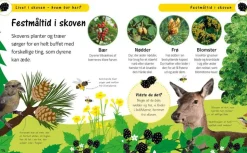 Livet I Skoven - Hvem Bor Her?