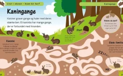 Livet I Skoven - Hvem Bor Her?