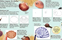 Lær At Tegne - Trin For Trin