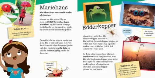 Nu Bliver Det Sjovt! Krible-Krable Dyr