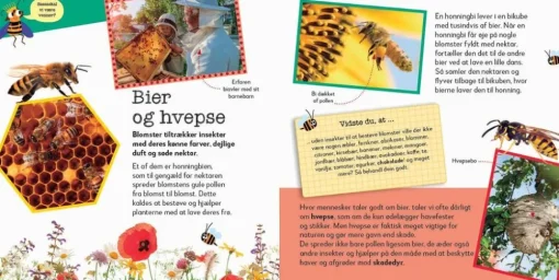 Nu Bliver Det Sjovt! Krible-Krable Dyr