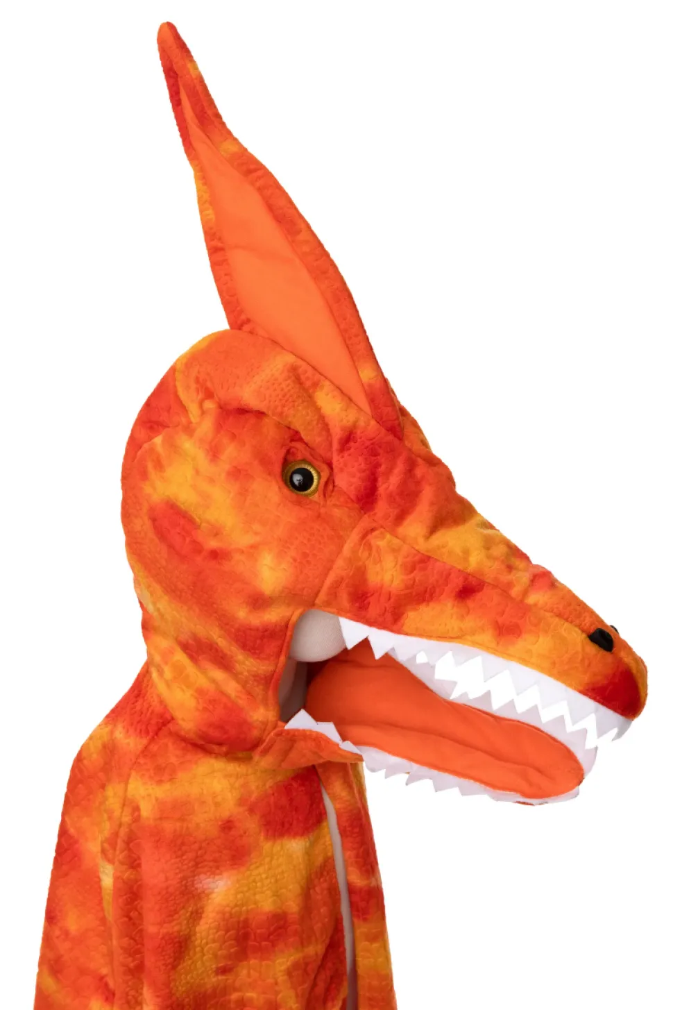 Pterodactylus, Str. 4-6 Ar