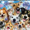 Puslespil M. 500 Brikker - Selfies, Hunde + Katte
