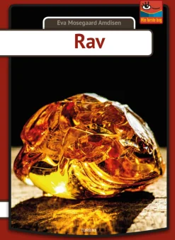 Rav (Letlaesning)
