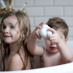 Sansesaet M. Regnsky + Sanseborste