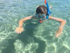 Snorkelsaet (4-10 Ar)