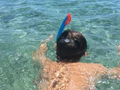 Snorkelsaet (4-10 Ar)