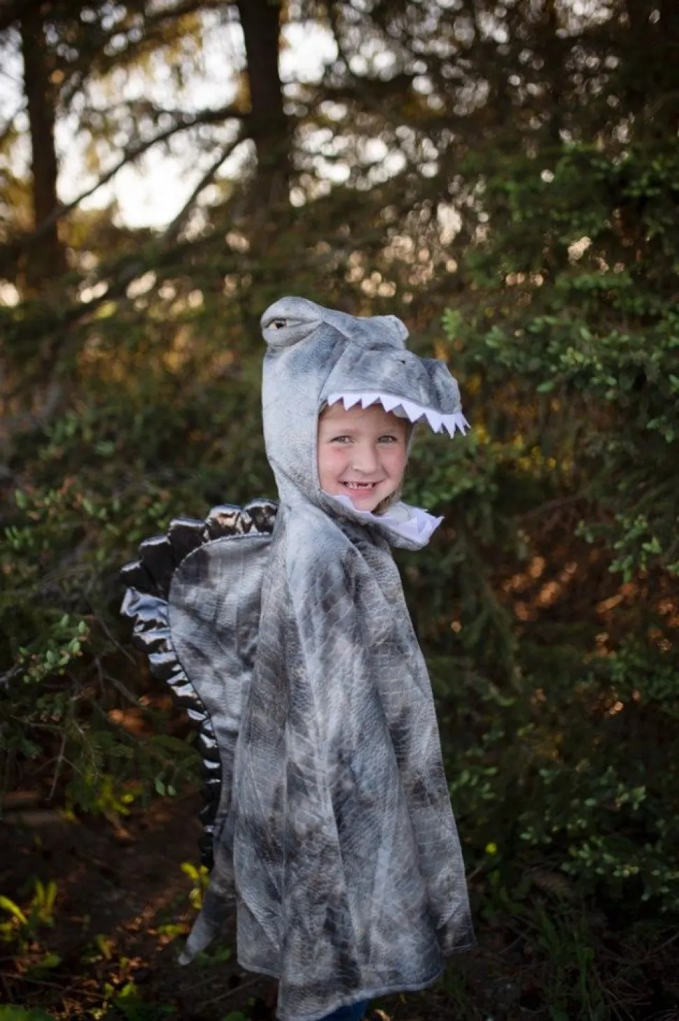 Spinosaurus, Str. 4-6 Ar
