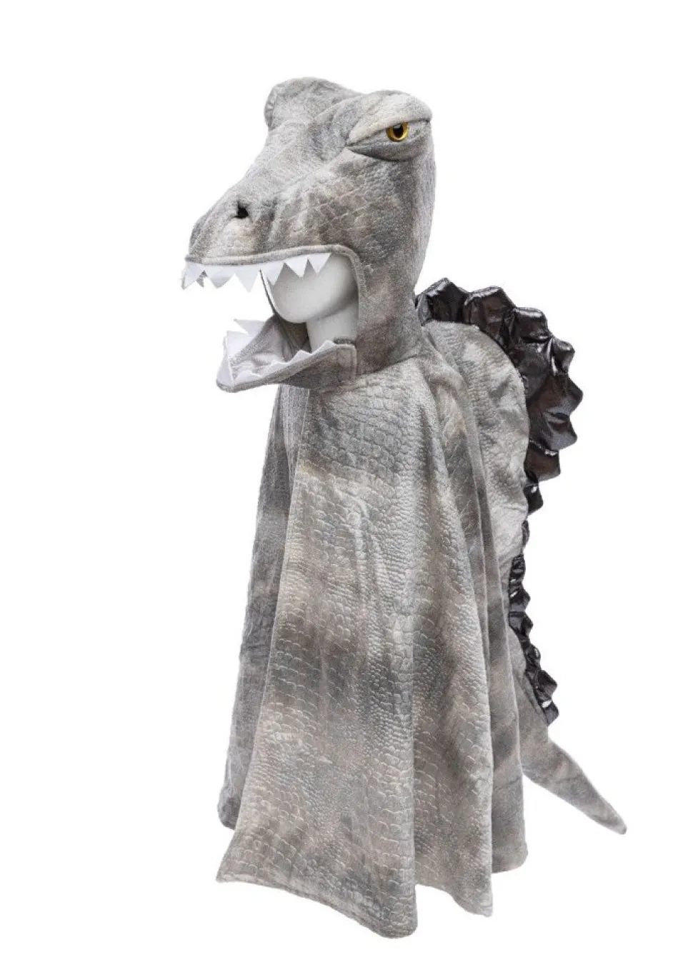 Spinosaurus, Str. 4-6 Ar