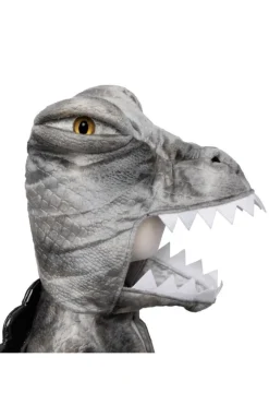 Spinosaurus, Str. 4-6 Ar