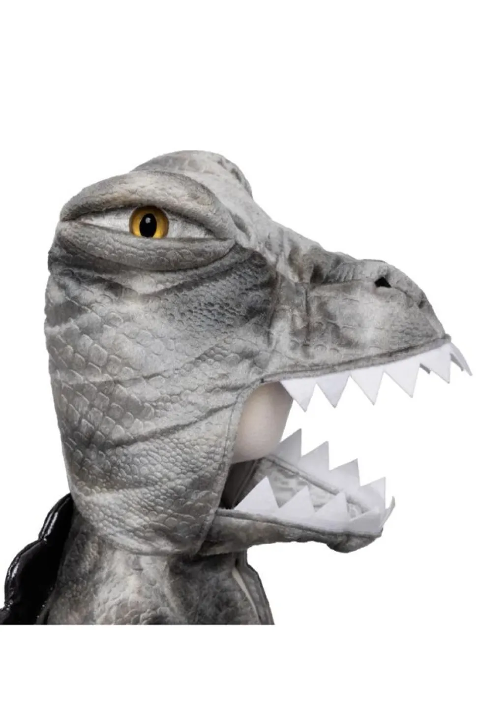 Spinosaurus, Str. 4-6 Ar
