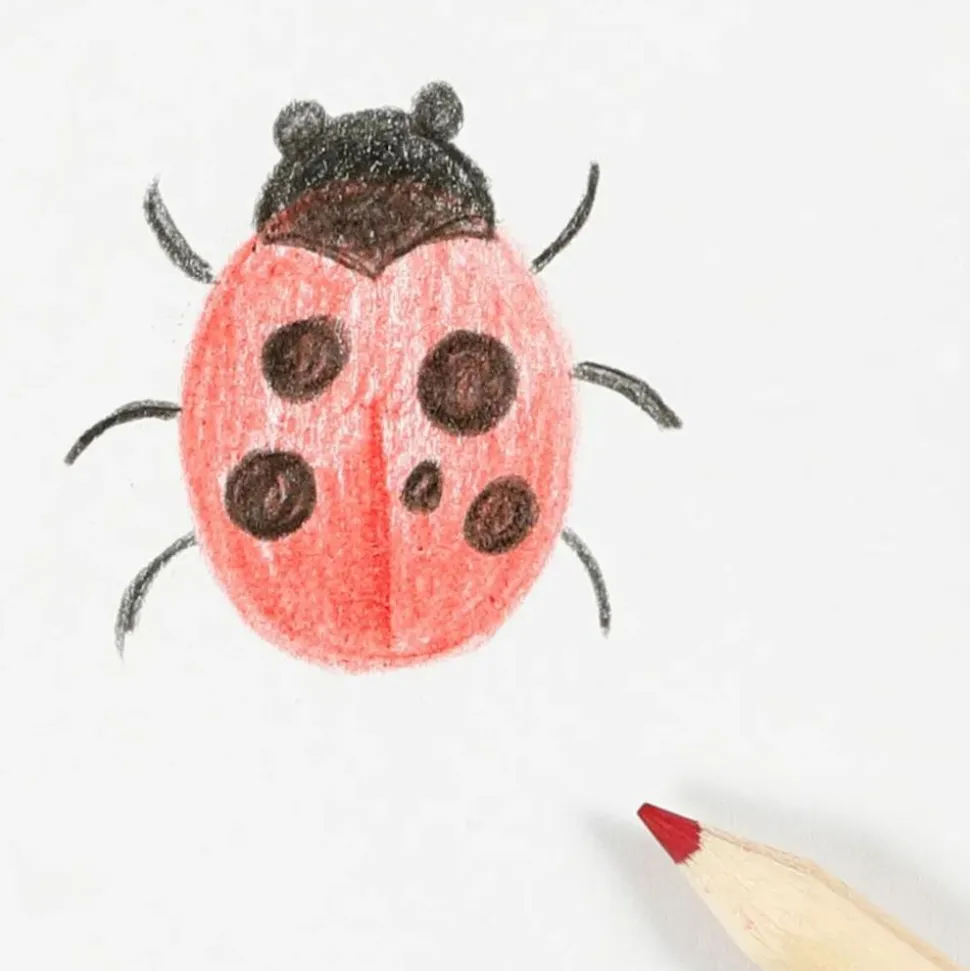 Tegn Insekter