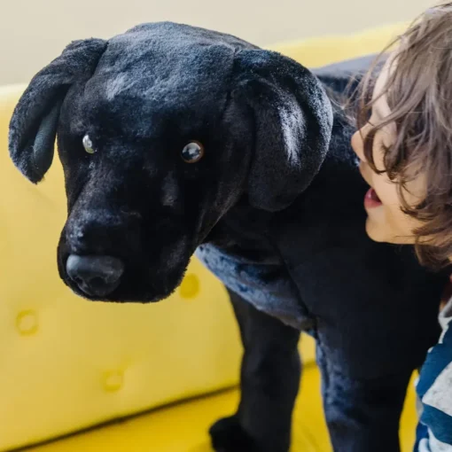 Tojdyr I Plys - Labrador, Sort