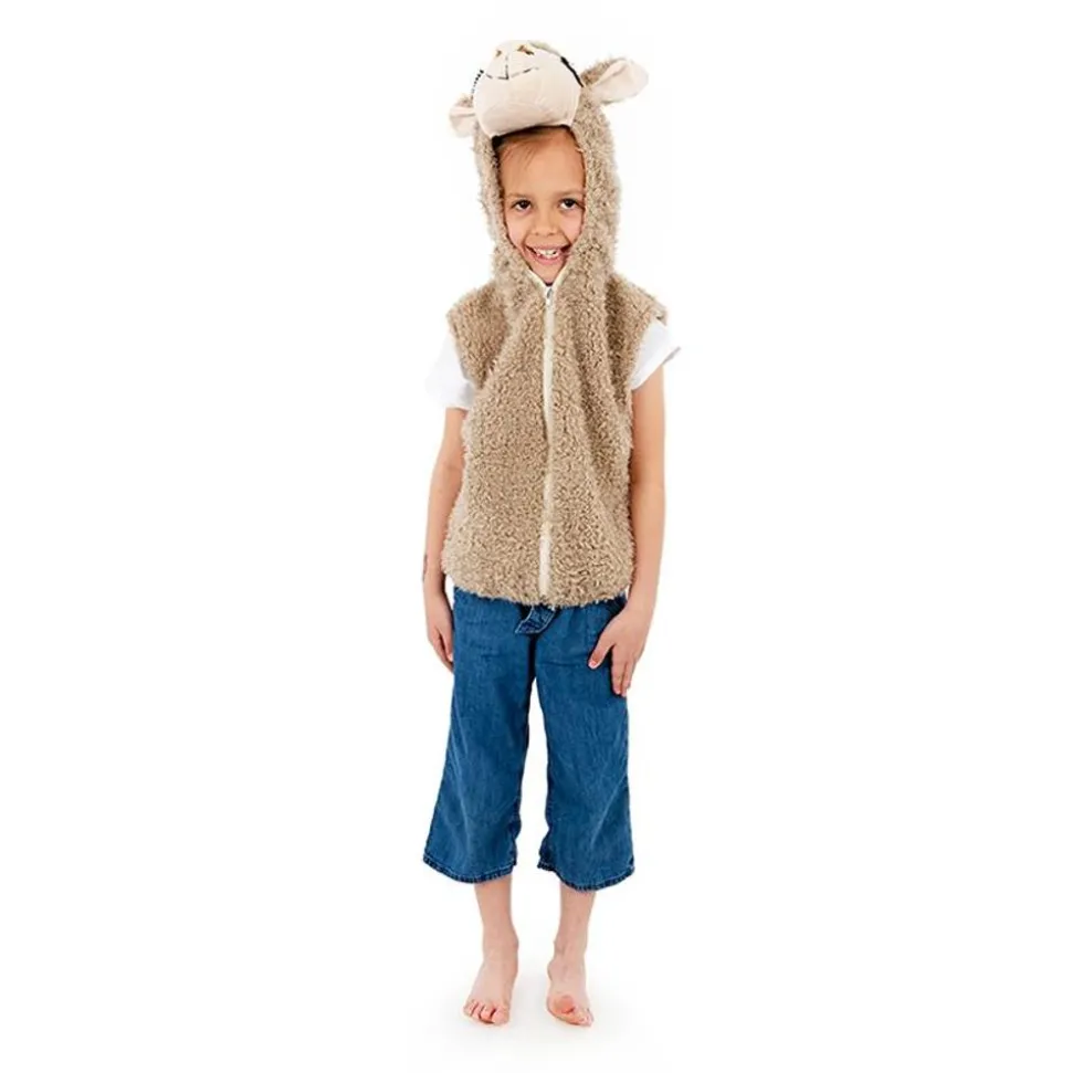 Vest M. Haette - Lama, Str. 3-7 Ar